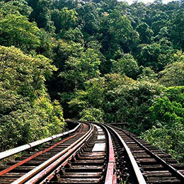 Sakaleshpura Railway Track